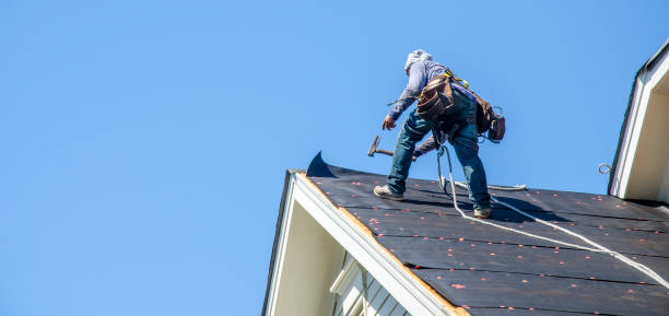 Best Roof Gutter Cleaning  in Galva, KS